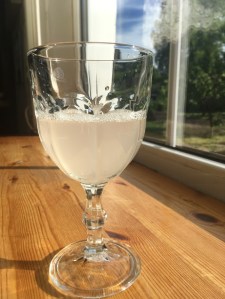 Rabarberivein 1.nädalane