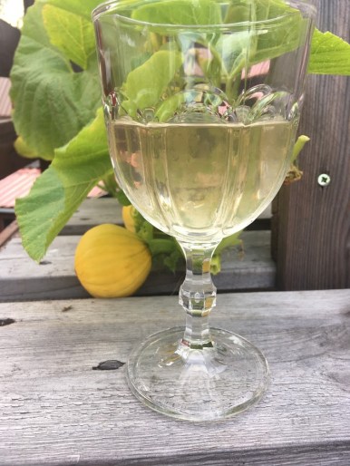 rabarberi vein rhubarb wine